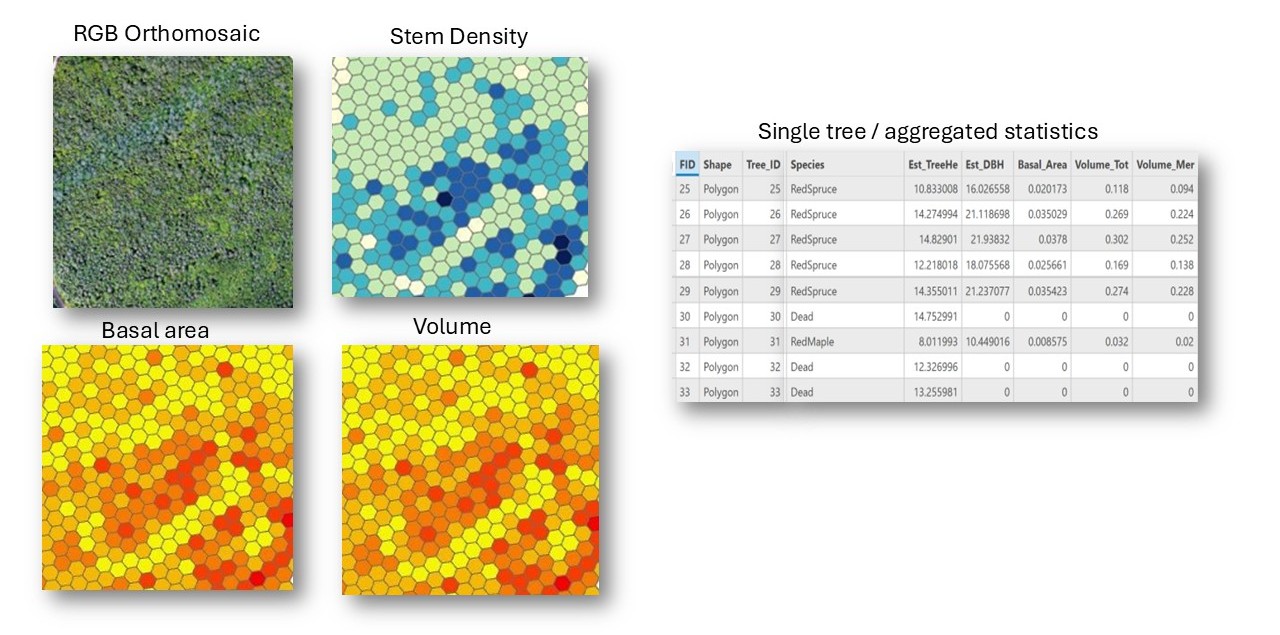 STEMS aggregation